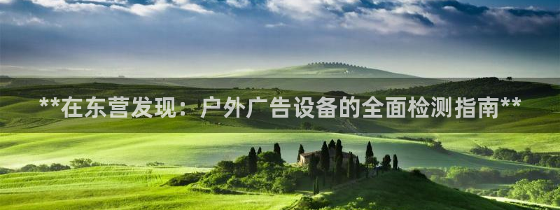 杏宇代理注册：**在东营发现：户外广告设备的全面检测指南**