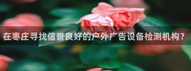 杏宇平台代理怎么样赚钱：在枣庄寻找信誉良好的户外广告设备检测机构？