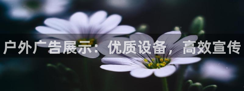 杏宇平台是什么：户外广告展示：优质设备，高效宣传
