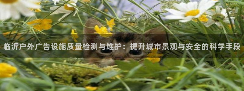 杏宇平台代理怎么赚钱快：临沂户外广告设施质量检测与维护：提升城市景观与安全的科学手段