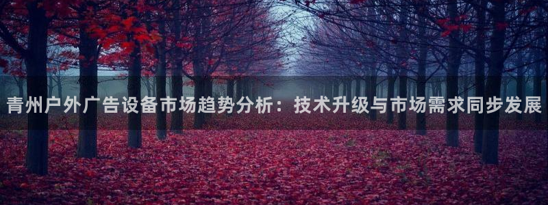 杏宇平台官网注册：青州户外广告设备市场趋势分析：技术升级与市场需求同步发展