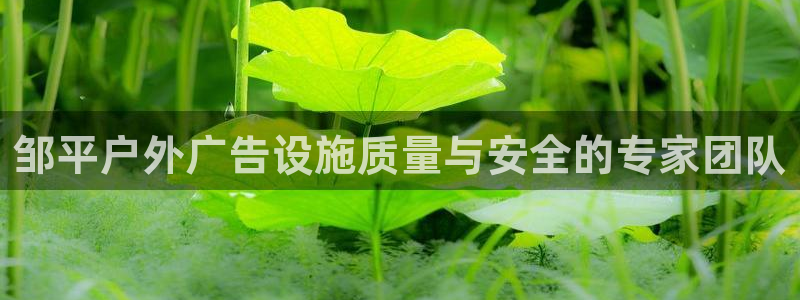 杏宇平台代理多少钱：邹平户外广告设施质量与安全的专家团队