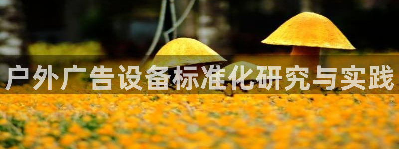 杏宇平台招商