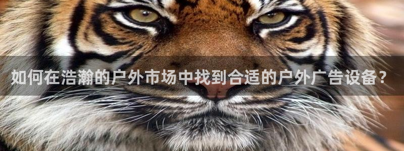杏宇平台好吗：如何在浩瀚的户外市场中找到合适的户外广告设备？
