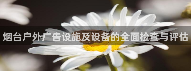 杏宇平台代理怎么样：烟台户外广告设施及设备的全面检查与评估
