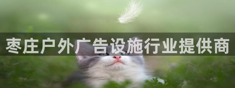 杏宇平台代理怎么样可靠吗：枣庄户外广告设施行业提供商
