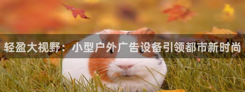 杏宇平台登陆：轻盈大视野：小型户外广告设备引领都市新时尚