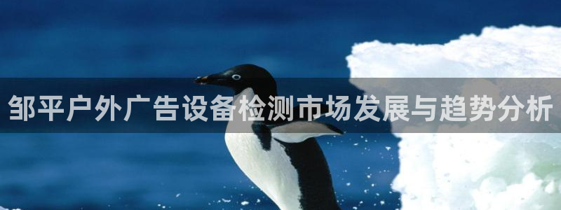 杏宇平台代理多少钱一个：邹平户外广告设备检测市场发展与趋势分析