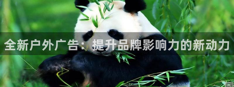 杏宇平台代理怎么样：全新户外广告：提升品牌影响力的新动力