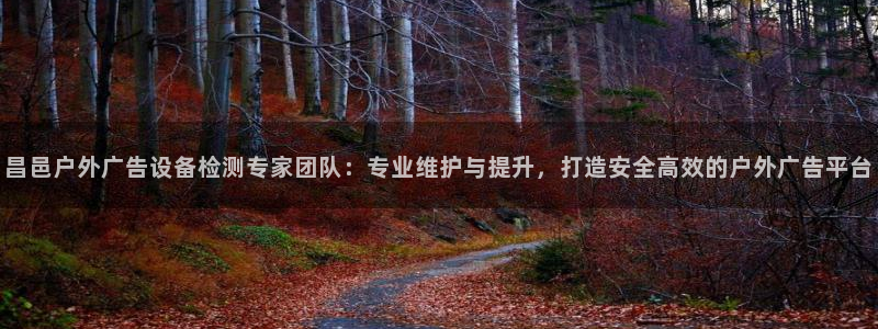 杏宇平台代理怎么赚钱的：昌邑户外广告设备检测专家团队：专业维护与提升，打造安全高效的户外广告平台