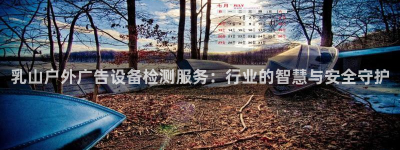 杏宇平台怎么样知乎：乳山户外广告设备检测服务：行业的智慧与安全守护