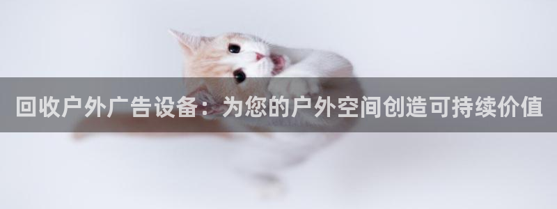 杏宇平台代理