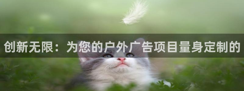 杏宇平台怎么样：创新无限：为您的户外广告项目量身定制的
