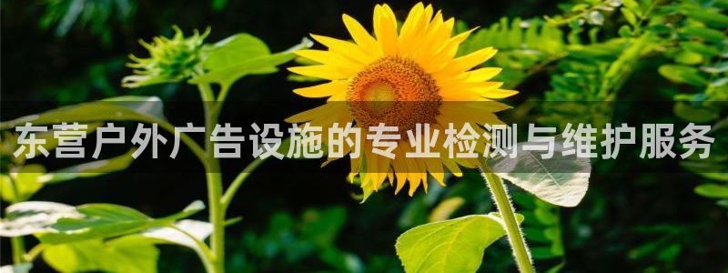 杏宇平台代理怎么样赚钱：东营户外广告设施的专业检测与维护服务
