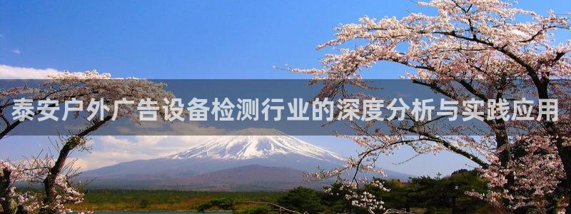 杏宇官方平台官网：泰安户外广告设备检测行业的深度分析与实践应用