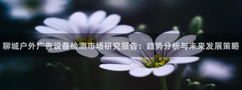 杏宇平台总代理电话：聊城户外广告设备检测市场研究报告：趋势分析与未来发展策略
