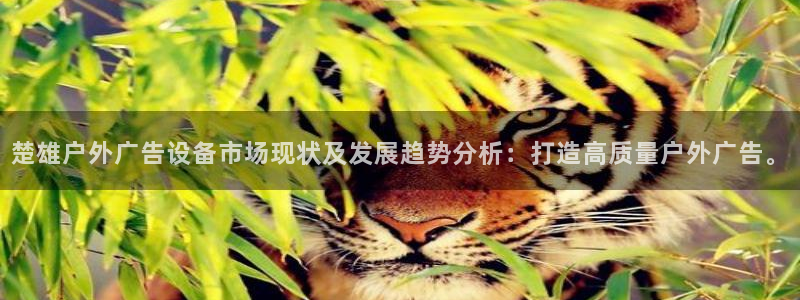 杏宇平台总代理电话