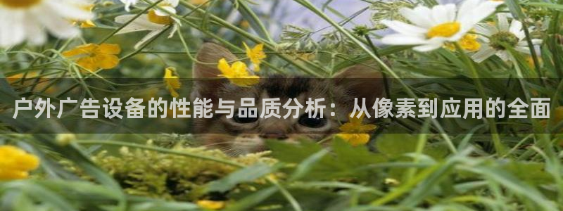 杏宇平台代理多少钱一次