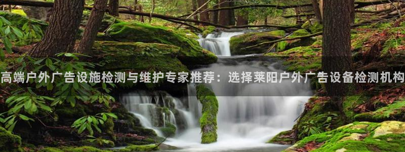 杏宇平台代理多少钱一个