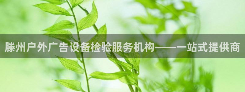 杏宇平台开户