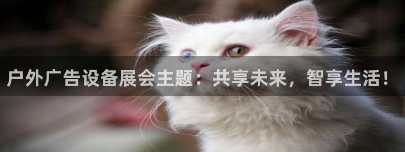 杏宇平台代理多少钱：户外广告设备展会主题