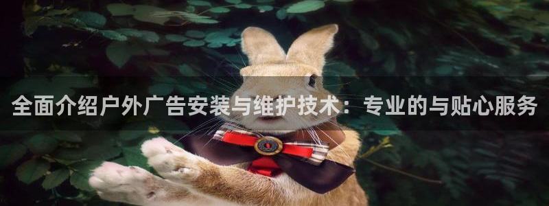 杏宇平台招商电话号码