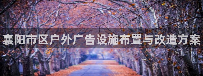 杏宇平台注册地址：襄阳市区户外广告设施布置与改造方案