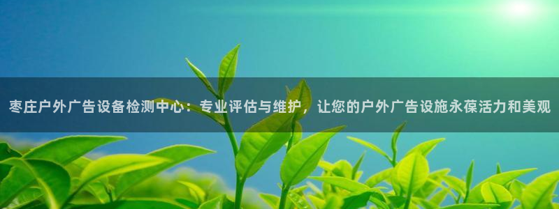 杏宇平台主管：枣庄户外广告设备检测中心：专业评估与维护，让您的户外广告设施永葆活力和美观