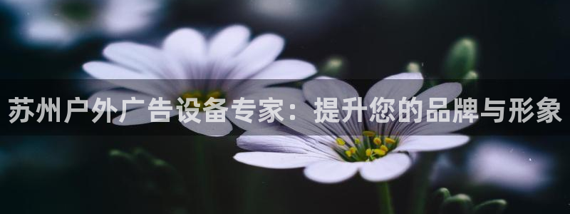 杏宇平台提现为什么这么久呢：苏州户外广告