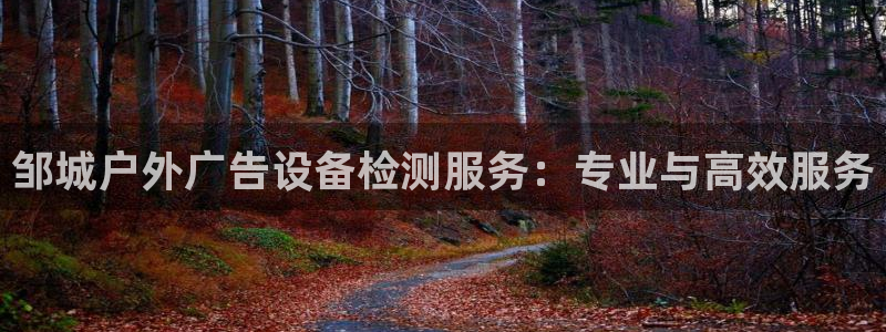 杏宇平台登录方法：邹城户外广告设备检测服务：专业与高效服务