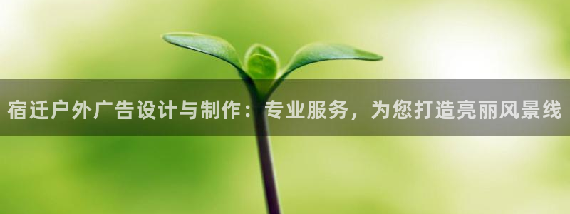 杏宇平台代理多少钱一个