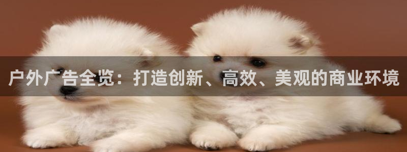 杏宇平台代理怎么赚钱快：户外广告全览：打造创新、高效、美观的商业环境