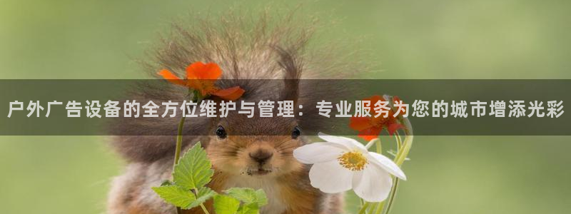杏宇平台代理怎么样赚钱：户外广告设备的全