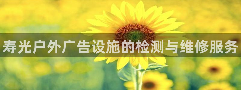 杏宇平台登录步骤是什么：寿光户外广告设施