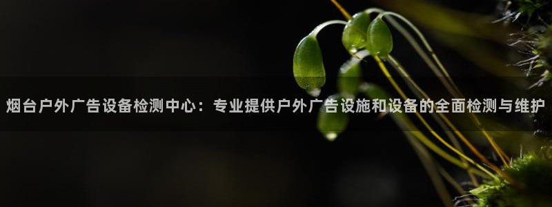 杏宇平台招商电话号码：烟台户外广告设备检