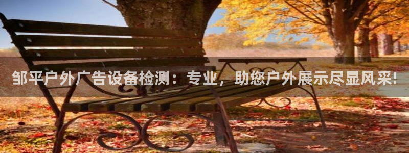 杏宇平台主管：邹平户外广告设备检测：专业，助您户外展示尽显风采!