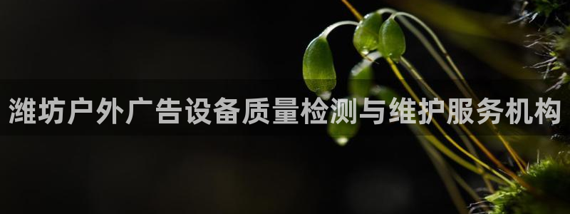杏宇平台客服：潍坊户外广告设备质量检测与