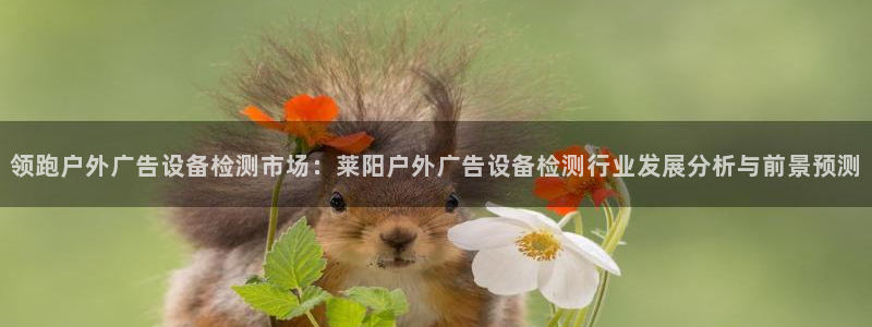 杏宇平台怎么样赚钱：领跑户外广告设备检测市场：莱阳户外广告设备检测行业发展分析与前景预测
