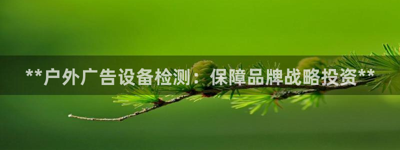 杏宇平台代理怎么样赚钱：**户外广告设备检测：保障品牌战略投资**