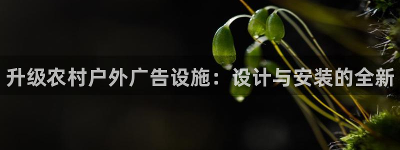 杏宇平台官网注册：升级农村户外广告设施：