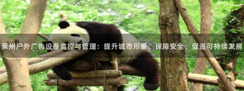 杏宇平台怎么样：莱州户外广告设备监控与管