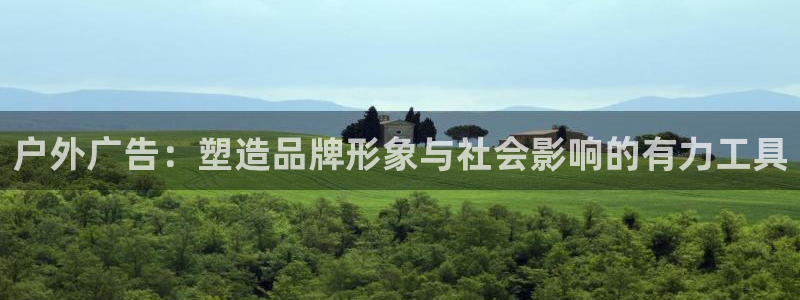 杏宇平台主管：户外广告：塑造品牌形象与社