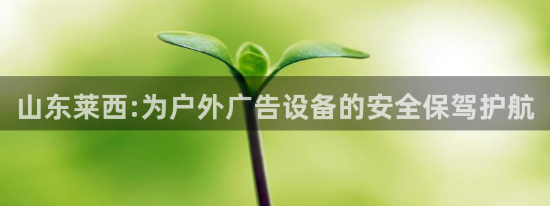 杏宇平台代理怎么赚钱的：山东莱西:为户外