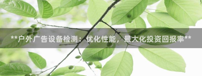 杏宇平台代理怎么样啊：**户外广告设备检测：优化性能，最大化投资回报率**