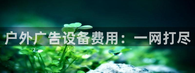 杏宇平台总代理是谁：户外广告设备费用：一