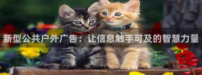 杏宇平台怎么样：新型公共户外广告：让信息