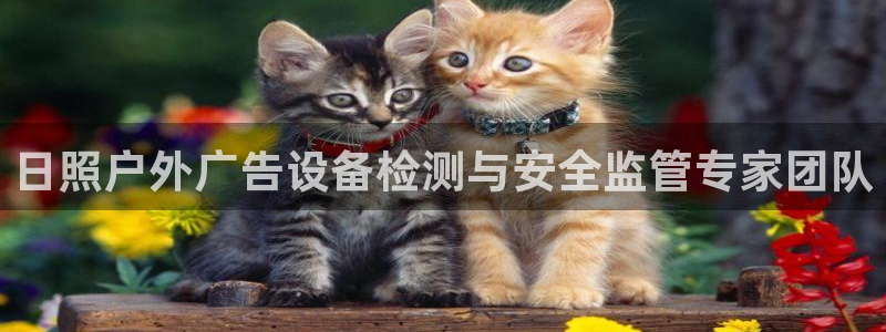 杏宇平台登录步骤图：日照户外广告设备检测