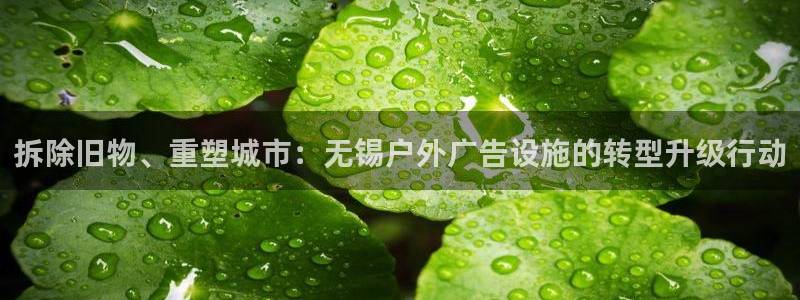 杏宇代理注册：拆除旧物、重塑城市：无锡户