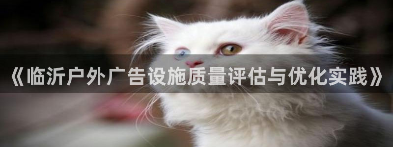 杏宇官方平台官网：《临沂户外广告设施质量